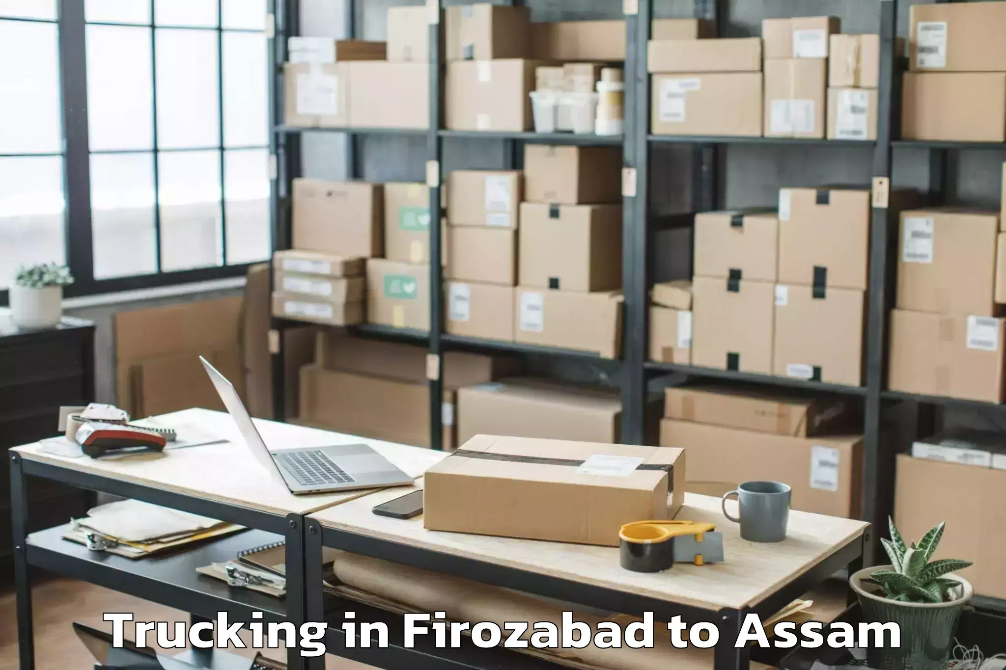 Top Firozabad to Sissibargaon Trucking Available